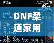 DNF柔道家用什么武器PK最強？掌握這些，你也能成為戰(zhàn)場王者！