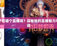 DNF晴子在哪個(gè)直播間？探秘她的直播魅力與粉絲互動(dòng)