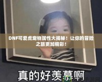 DNF可愛虎寵物屬性大揭秘！讓你的冒險之旅更加精彩！