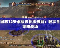 三國志12安卓版漢化版破解：暢享全新策略戰(zhàn)場(chǎng)
