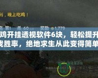 吃雞開掛透視軟件6塊，輕松提升游戲勝率，絕地求生從此變得簡(jiǎn)單！