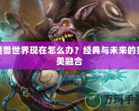 魔獸世界現(xiàn)在怎么辦？經(jīng)典與未來的完美融合