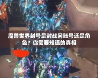 魔獸世界封號是封戰(zhàn)網(wǎng)賬號還是角色？你需要知道的真相