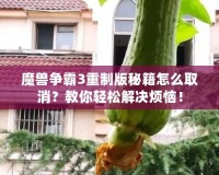 魔獸爭霸3重制版秘籍怎么取消？教你輕松解決煩惱！