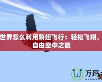 我的世界怎么利用鞘翅飛行：輕松飛翔，盡享自由空中之旅