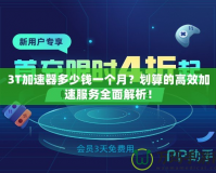 3T加速器多少錢一個月？劃算的高效加速服務全面解析！
