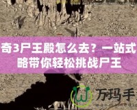 傳奇3尸王殿怎么去？一站式攻略帶你輕松挑戰尸王