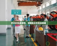 夢幻69比武屬性，領略真正的競技巔峰