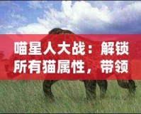 喵星人大戰：解鎖所有貓屬性，帶領貓咪軍團制霸宇宙！
