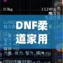 DNF柔道家用什么武器PK最強？掌握這些，你也能成為戰場王者！