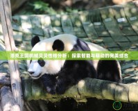 洛克王國機械貝貝性格分析：探索智能與萌動的完美結合