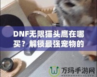 DNF無限貓頭鷹在哪買？解鎖最強寵物的購買途徑與技巧！