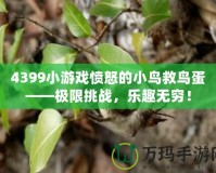 4399小游戲憤怒的小鳥救鳥蛋——極限挑戰(zhàn)，樂趣無(wú)窮！