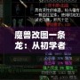 魔獸改圖一條龍：從初學者到高手，打造專屬于你的魔獸世界