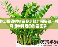 夢幻搖錢樹樹苗多少錢？揭秘這一神奇植物背后的財富密碼！