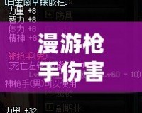 漫游槍手傷害高嗎？深入分析《游戲名字》中的職業定位與玩法優勢