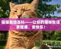 貓貓栽培百科——讓你的貓咪生活更健康、更快樂！