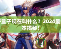 DNF盒子現(xiàn)在叫什么？2024最新版本揭秘！