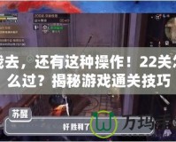 我去，還有這種操作！22關怎么過？揭秘游戲通關技巧