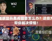 英雄聯盟開黑有回音怎么辦？這些方法幫你解決煩惱！