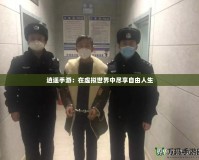 逍遙手游：在虛擬世界中盡享自由人生