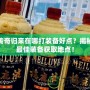 傳奇歸來在哪打裝備好點？揭秘最佳裝備獲取地點！