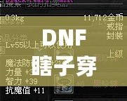 DNF瞎子穿什么甲？讓你秒變無敵的裝備選擇解析！