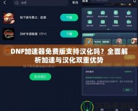 DNF加速器免費版支持漢化嗎？全面解析加速與漢化雙重優勢