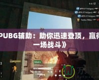 《PUBG輔助：助你迅速登頂，贏得每一場戰斗》