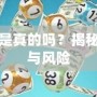 刷元寶軟件是真的嗎？揭秘背后的真相與風險