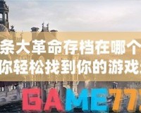 刺客信條大革命存檔在哪個(gè)文件夾？讓你輕松找到你的游戲進(jìn)度！