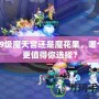 69級魔天宮還是魔花果，哪個更值得你選擇？