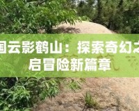 洛克王國云影鶴山：探索奇幻之地，開啟冒險新篇章