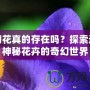 夢幻花真的存在嗎？探索這朵神秘花卉的奇幻世界