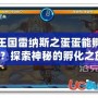 洛克王國雷納斯之蛋蛋能孵出什么？探索神秘的孵化之旅！