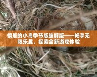 憤怒的小鳥季節版破解版——暢享無限樂趣，探索全新游戲體驗