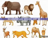 愛拍馬屁的動物是什么生肖？揭開生肖里的“馬屁精”秘密