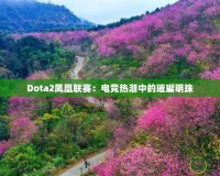 Dota2鳳凰聯賽：電競熱潮中的璀璨明珠