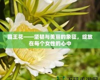 霸王花——堅韌與美麗的象征，綻放在每個女性的心中