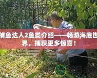 捕魚達人2魚類介紹——暢游海底世界，捕獲更多驚喜！