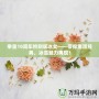 拳皇10周年特別版冰女——帶你重溫經典，冰雪魅力再現！