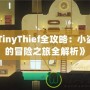 《TinyThief全攻略：小盜賊的冒險之旅全解析》