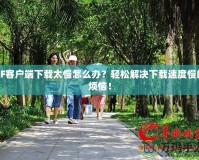 CF客戶端下載太慢怎么辦？輕松解決下載速度慢的煩惱！