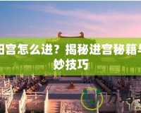 殘陽宮怎么進(jìn)？揭秘進(jìn)宮秘籍與絕妙技巧