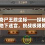 傳奇尸王殿坐標——探秘神秘地下迷宮，挑戰極限勇者之地