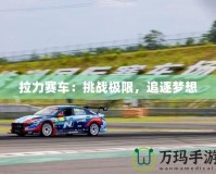 拉力賽車：挑戰極限，追逐夢想