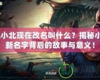 lol小北現在改名叫什么？揭秘小北新名字背后的故事與意義！