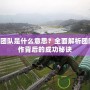 TFT團隊是什么意思？全面解析團隊合作背后的成功秘訣