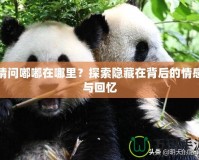 請問嘟嘟在哪里？探索隱藏在背后的情感與回憶