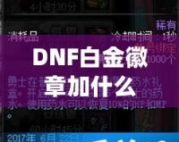 DNF白金徽章加什么？全方位提升角色戰力的最佳選擇